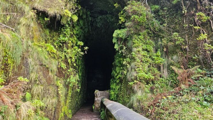 Private Tour : 25 Fontes Levada Hike - Experience Highlights