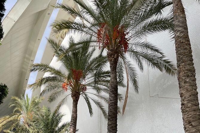 Private Tour - Meeting Points and Start Time