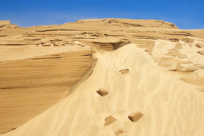 Private Tour [3 Days]: Matakana, Bay of Islands, Cape Reinga & 90 Mile Beach - Additional Options