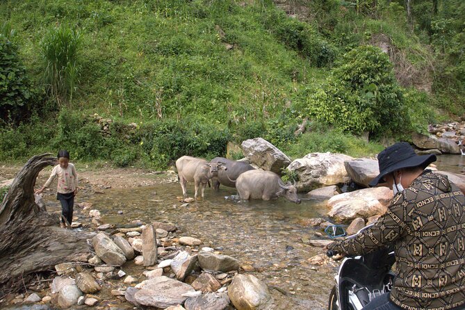 Private Tour - 3D2N Rice Terraces Treks in Mu Cang Chai - Cancellation Policy