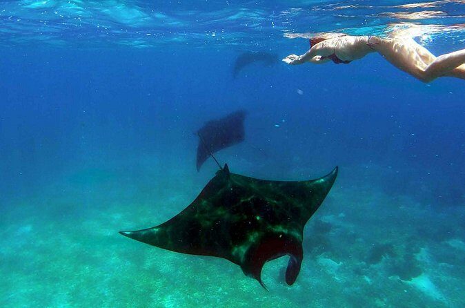 Private tour 4 days 3 nights Komodo on boat, waterfall and Rangko cave - Conclusions