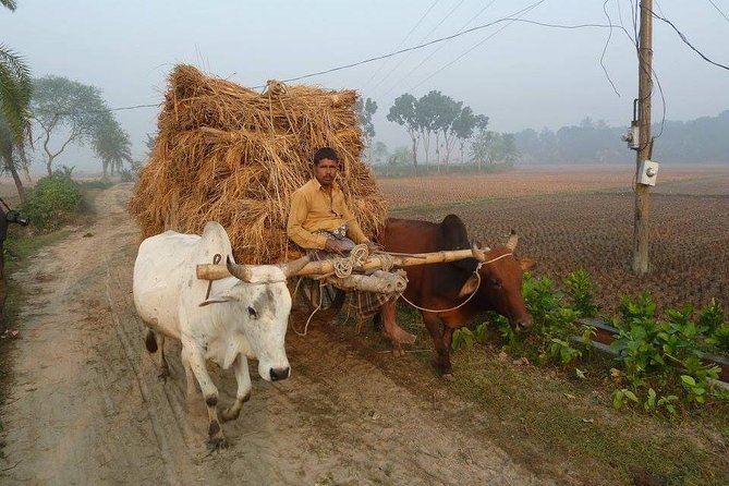 Private Tour: 4 Days - Bangladesh Life & Cultural Tour - The Ganges Delta Life - Meals Inclusions
