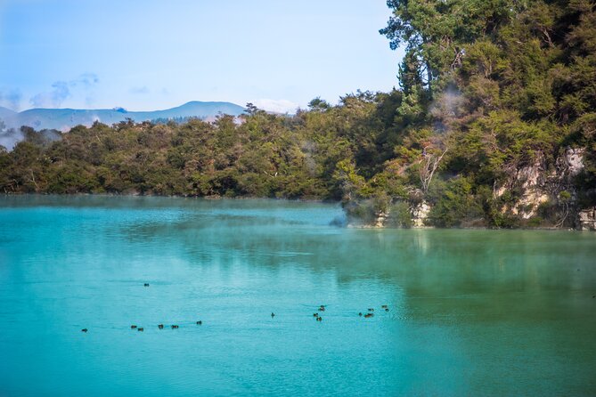 Private Tour [4 Days]: Waitomo Caves, Hobbiton, Rotorua, Hells Gate & Wai-O-Tapu - Itinerary