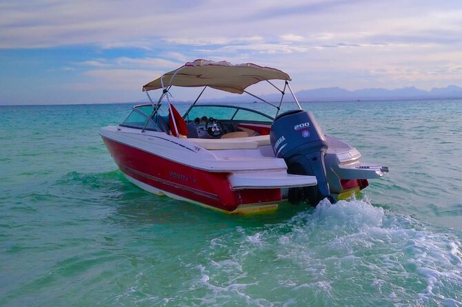 PRIVATE TOUR ! 4-Hours Swiming With Dolphins, Snorkeling, Island by Speed Boat - Tour Activities and Highlights