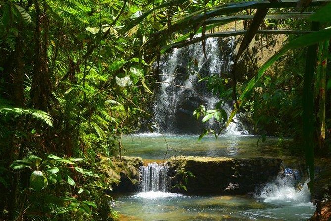 Private Tour - Overview and Options