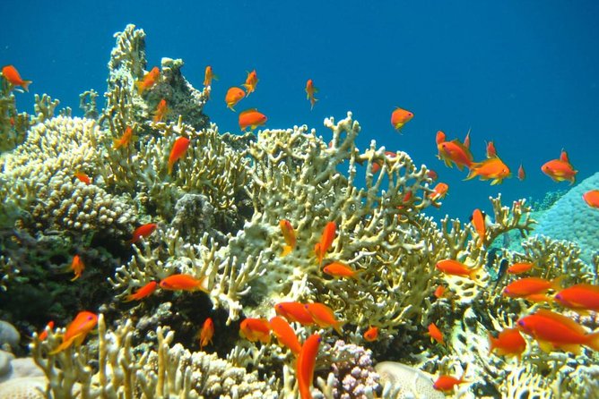 Private Tour 5 Days Cairo & Sharm El Sheikh Package - Tour Package Overview