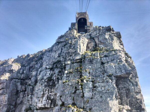 Private Tour: 7 Unforgettable Days in Vibrant Cape Town - The Sum Up