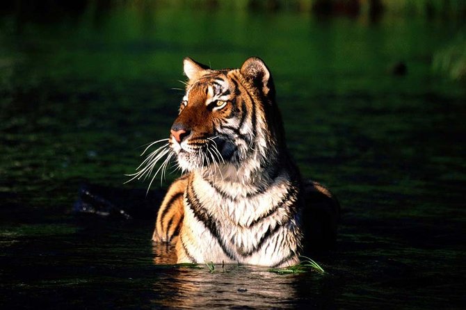 Private Tour: 9 Days - World Heritage Tour of Bangladesh - Transportation Logistics
