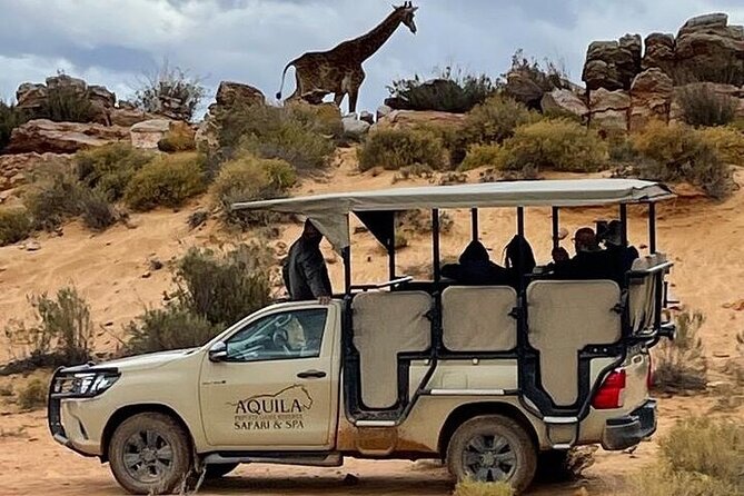 Private Tour: a Full Day Aquila Safari the Big 5 Game Drive - Tour Details