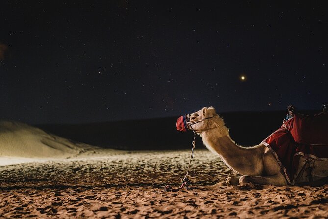 Private Tour Abu Dhabi to Dubai With a 4 Hour Stop on the Way - The Sum Up