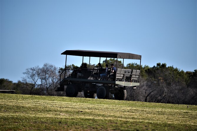 Private Tour : Africa Wild Safari West Coast Cape Town - Tour Highlights