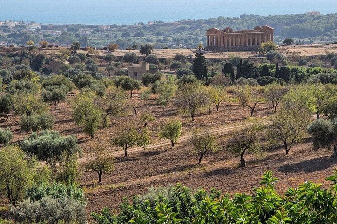 Private Tour Agrigento Valley of the Temples Park and Scala Dei Turchi - Meeting Point Details
