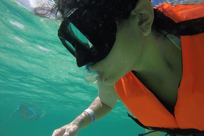 Private Tour: Akumal Marine Turtle Snorkeling and Cenote Adventure - Reviews and Ratings From Previous Visitors