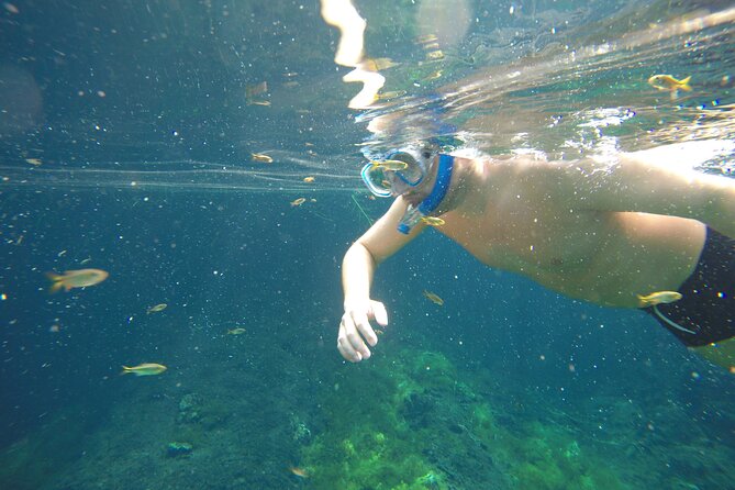 Private Tour: Akumal Marine Turtle Snorkeling From Cozumel - Tips for a Great Experience