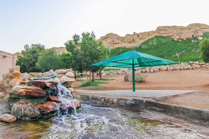 Private Tour : Al Ain City Sightseeing With Lunch From Dubai - Overview and Location