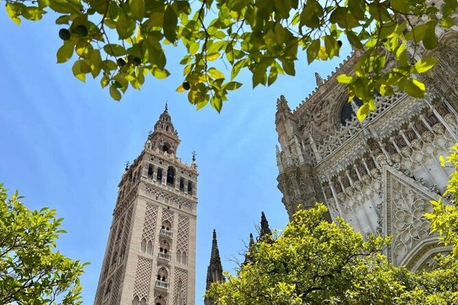Private Tour Alcazar Sevilla Cathedral and Giralda Tower Climb - General Information and Contact Details