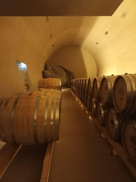 Private Tour Alentejo: Évora, WineTasting and Monsaraz - Évora: A UNESCO World Heritage Site
