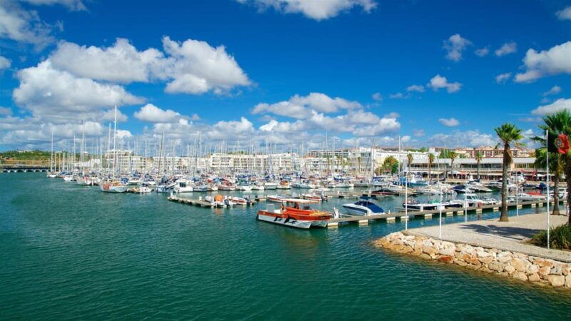Private Tour Algarve Premium - Why Choose the Private Tour Algarve Premium?  