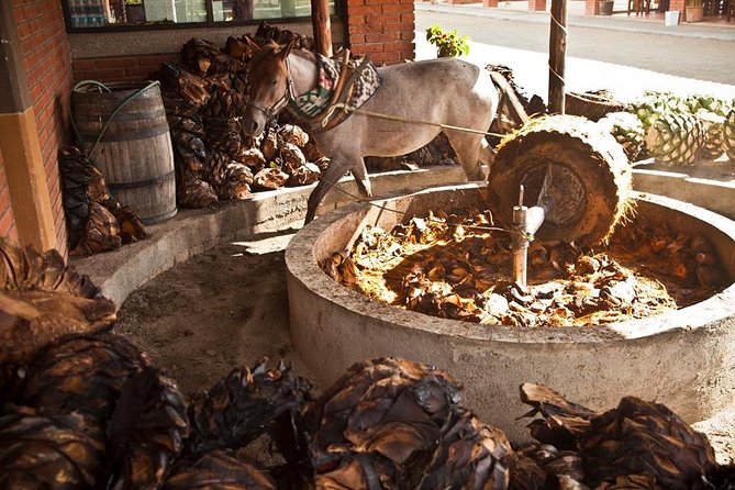 Private Tour, All Inclusive: Tlacochahuaya, Mezcal, Teotitlán Del Valle - Relax and Enjoy Scenic Views of the Oaxacan Countryside