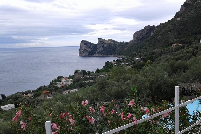 Private Tour Amalfi Coast, Pompeii in Minivan With Driver - Positive Testimonials and Reviews