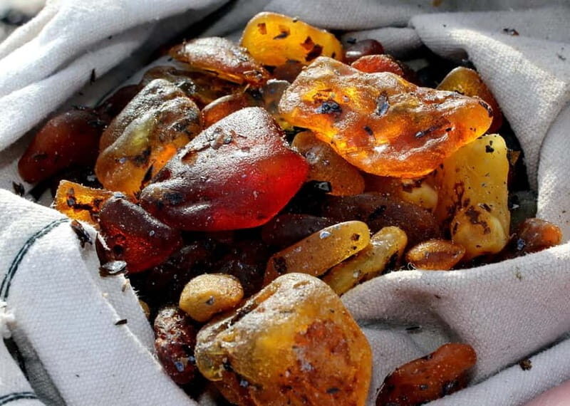 Private Tour: Amber Catching in Curonian Spit from Klaipeda - Introducing the Amber Catching Tour in Curonian Spit from Klaipeda