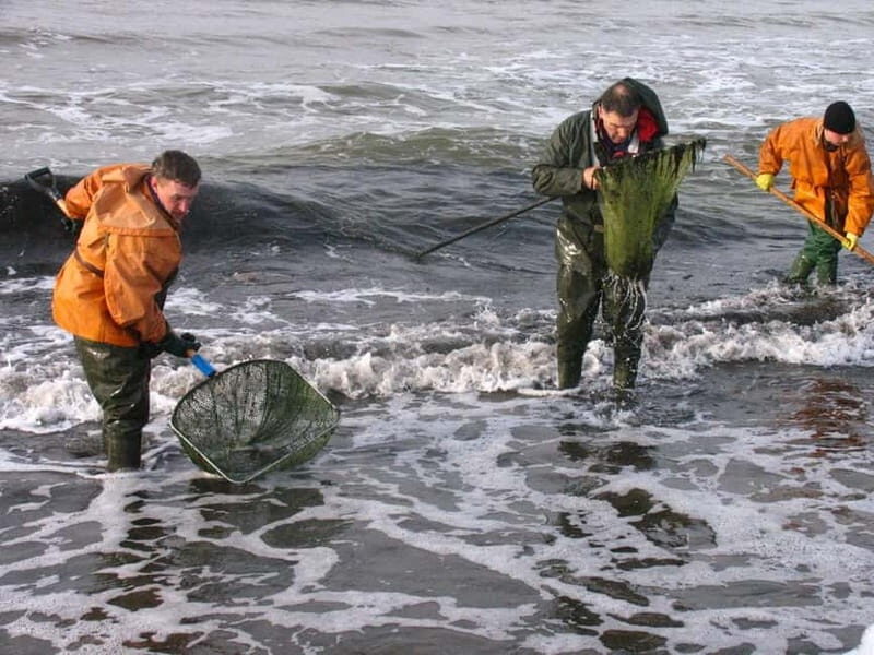Private Tour: Amber Catching in Curonian Spit from Klaipeda - Good To Know