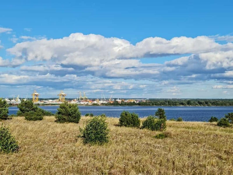 Private Tour: Amber Catching in Curonian Spit from Klaipeda - The Scenic Start: Amber Bay in Juodkrantė