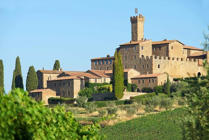 Private Tour and Wine Tasting at Castle-Wineries in Chianti From Florence - Tour Highlights