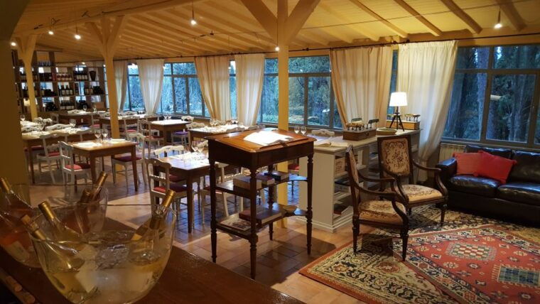 Private Tour and Wine Tasting at Castle Wineries in Chianti - Detailed Breakdown of the Experience
