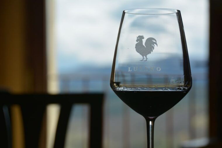 Private Tour and Wine Tasting at Castle Wineries in Chianti - Who Is This Tour Best For?