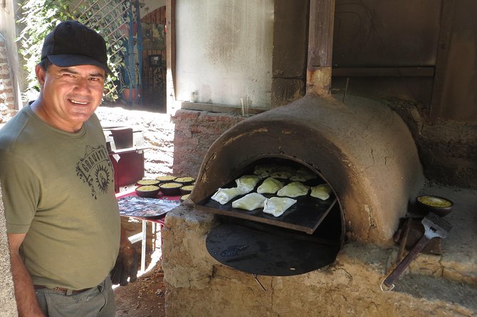 Private Tour: Andes Mountains With Wine Tasting From Santiago - Itinerary Highlights