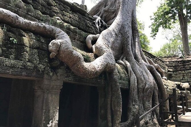 Private Tour: Angkor Highlights Full-Day - Pricing and Booking
