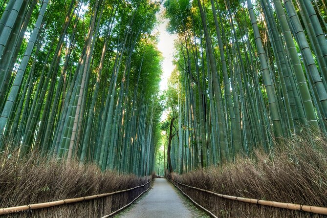 Private Tour Around Kyoto With English Speaking Driver (No Guide) - The Sum Up