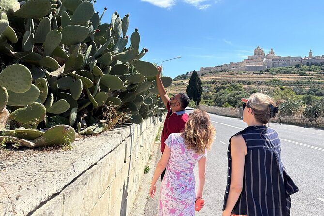 Private Tour Around Malta - Final Thoughts