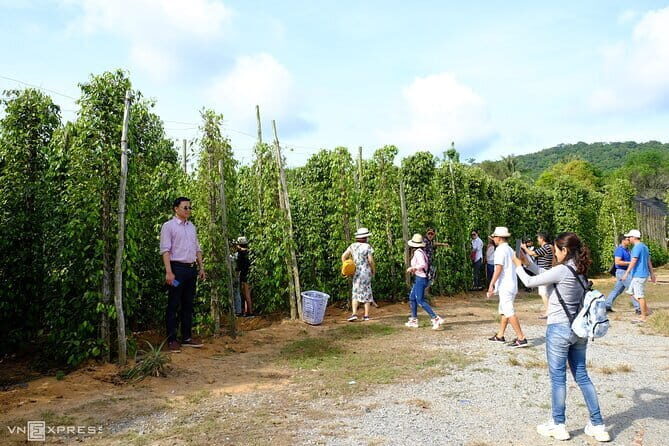 Private Tour Around Phu Quoc Island - FAQ