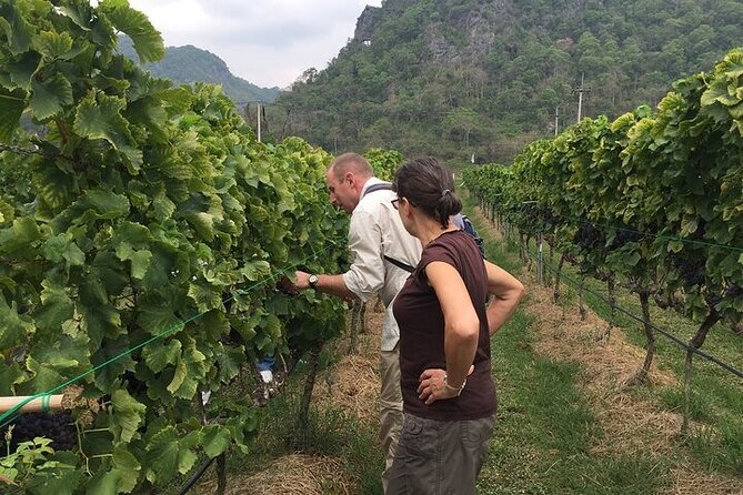 Private Tour Around Thailand in 10 Days - Common Questions