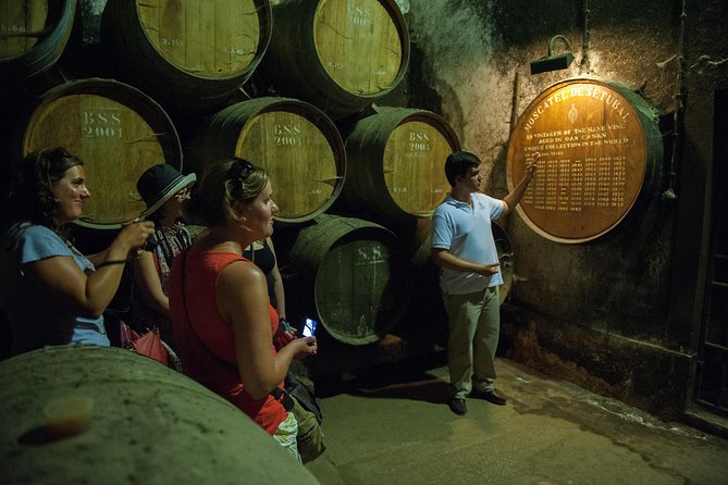 Private Tour: Arrábida Day Trip From Lisbon Including Wine Tasting - Common Questions