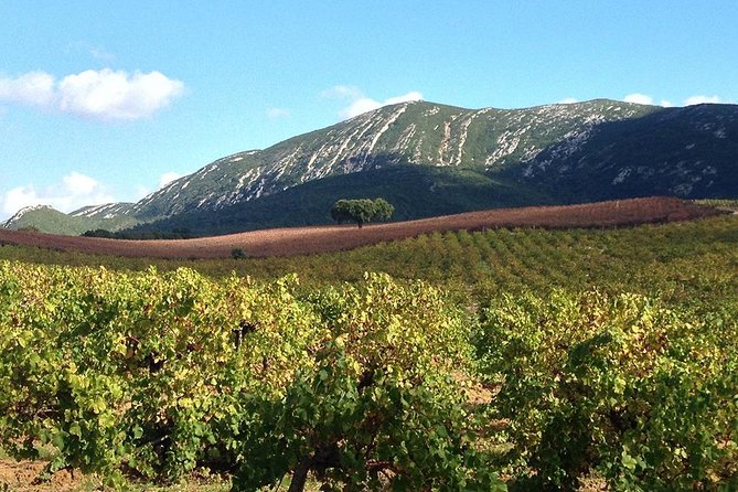Private Tour: Arrábida Day Trip From Lisbon Including Wine Tasting - The Sum Up