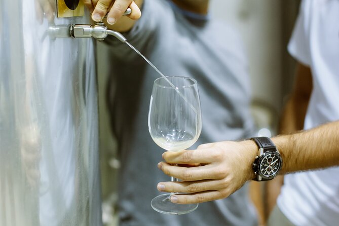 Private Tour at a Family Winery and Basque Coast Route - Basque Coast Route Highlights