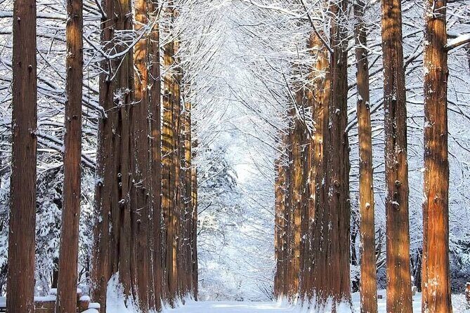 Private Tour at Nami Island and Elysian Ski Resort - Good To Know