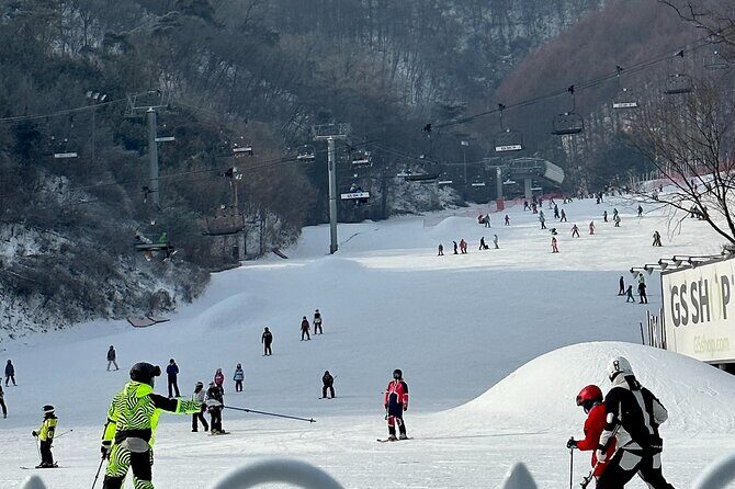 Private Tour at Nami Island and Elysian Ski Resort - FAQ