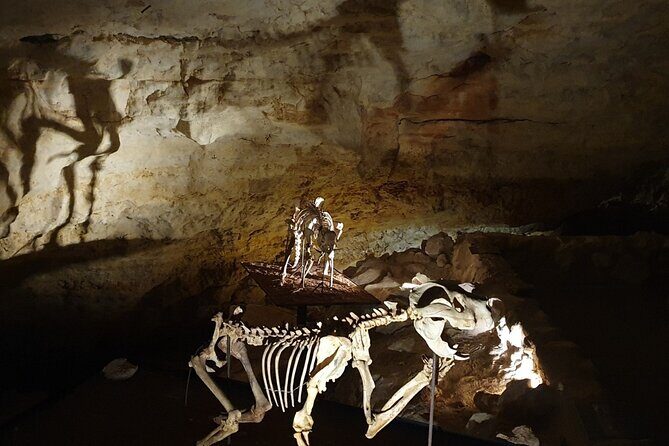 Private Tour at Naracoorte Caves - Good To Know