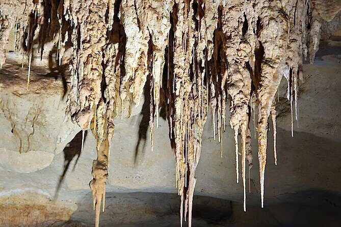 Private Tour at Naracoorte Caves - Is This Tour Worth It?