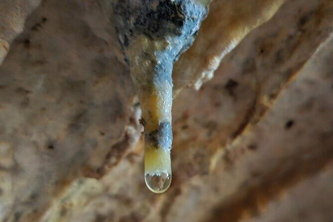 Private Tour at Naracoorte Caves - Who Will Love This Tour?