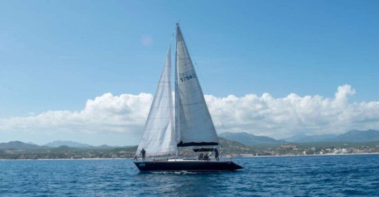 Private Tour at Sea of Cortés: Sunset Tour or Snorkel - Experience Highlights