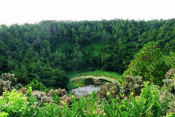 Private Tour at Southern Mauritius - Customer Reviews