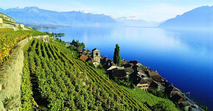 Private Tour at Swiss Riviera From Geneva - Tour Details