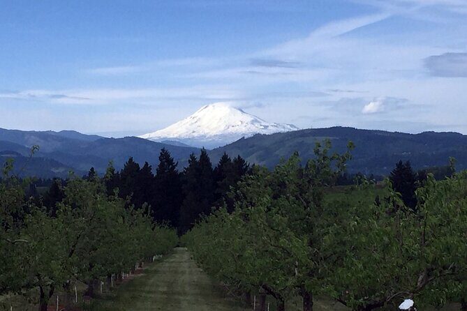 Private Tour at The Hood-Columbia Loop: Timberline, Orchards, and Waterfalls - Final Thoughts