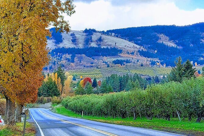 Private Tour at The Hood-Columbia Loop: Timberline, Orchards, and Waterfalls - Additional Information