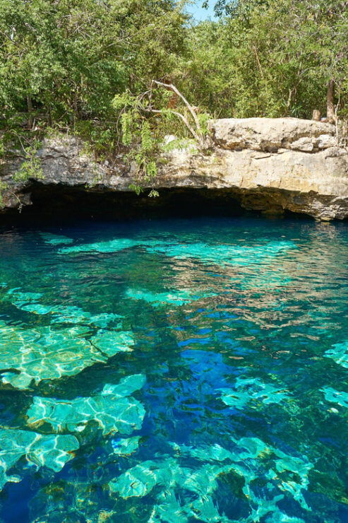 Private Tour Atv+ & Cenote (Transportation Included) - Experience Highlights